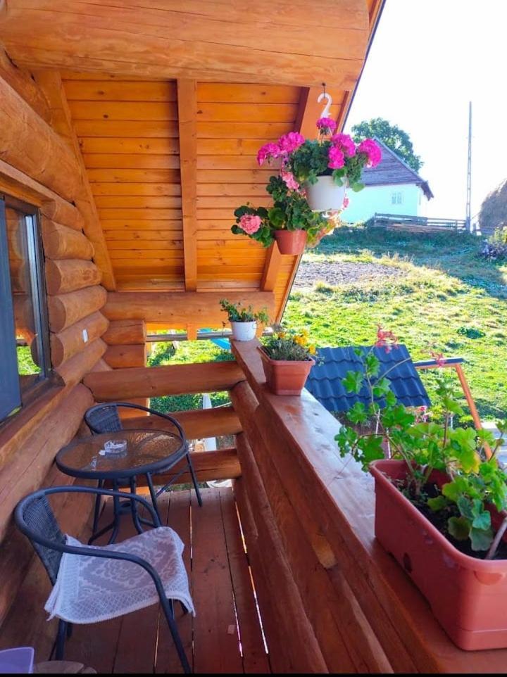 Cabana Colt De Munte Gârda de Sus Exterior photo